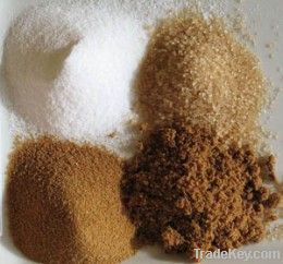 RAW BROWN CANE SUGAR IC 800/1200