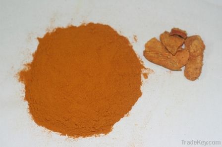 turmeric powder