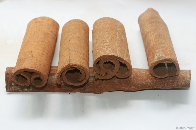 vietnam cinnamon