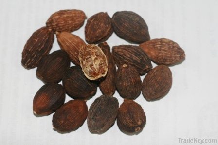 vietnam cardamom