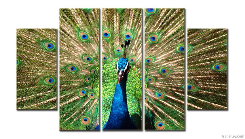 peacock animal canvas print