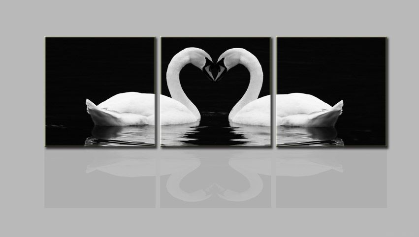 swan animal canvas print