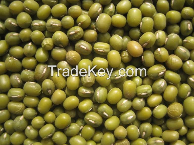 2017 New Crop High Quality Green Mung Beans