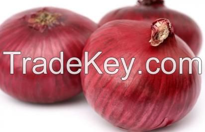 Fresh Red Onion