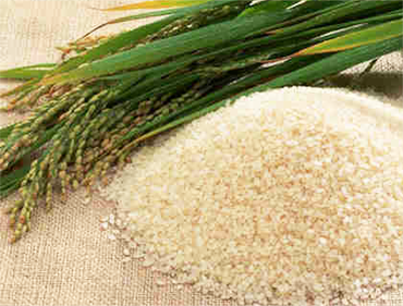 Long Grain White Rice