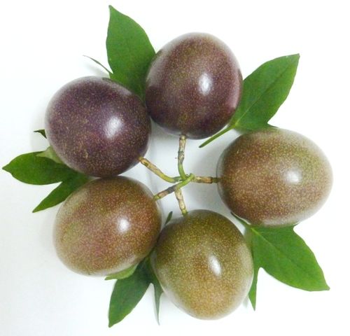 Passion Fruits