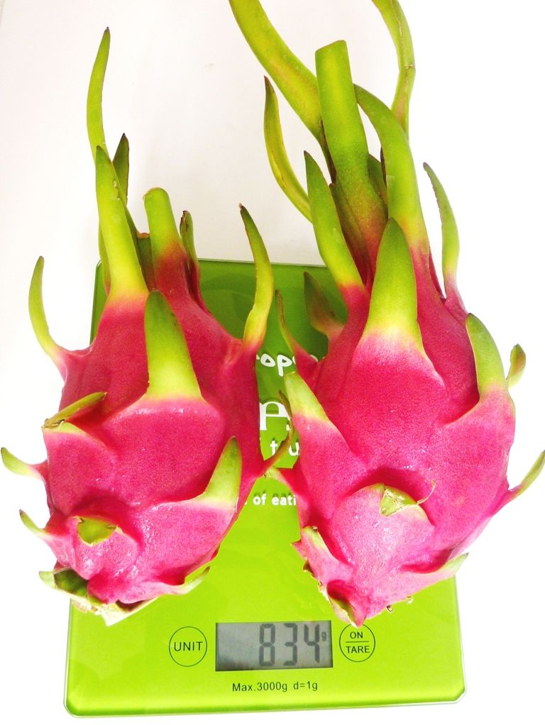 Dragon fruit