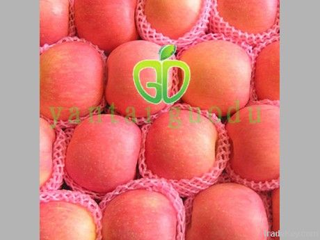New type Fuji apple Professional supplier of Fresh apple in china