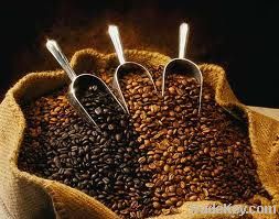 Export Coffee Beans | Coffee Bean Importer | Coffee Beans Buyer | Buy Coffee Beans | Coffee Bean Wholesaler | Coffee Bean Manufacturer | Best Coffee Bean Exporter | Low Price Coffee Beans | Best Quality Coffee Bean | Coffee Bean Supplier | Sell Coffee Bea