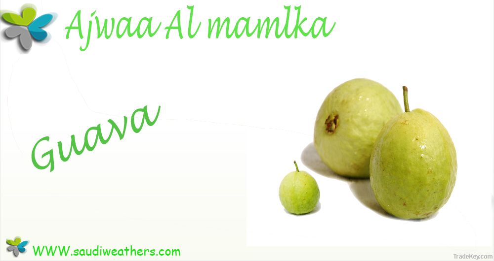 fresh guava