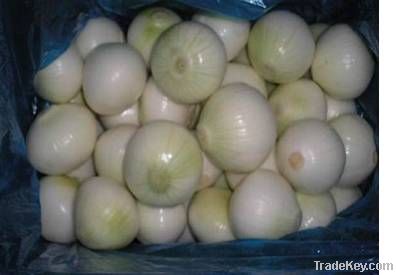 fresh onion/peeled/unpeeled