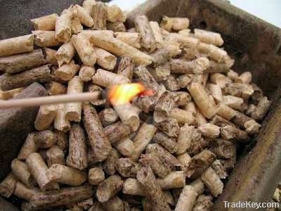 Wood pellet.