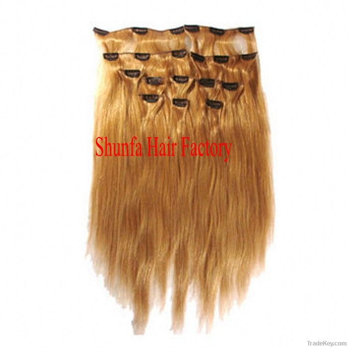 Human virgin hair weft