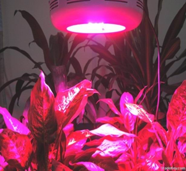 LED Grow Light