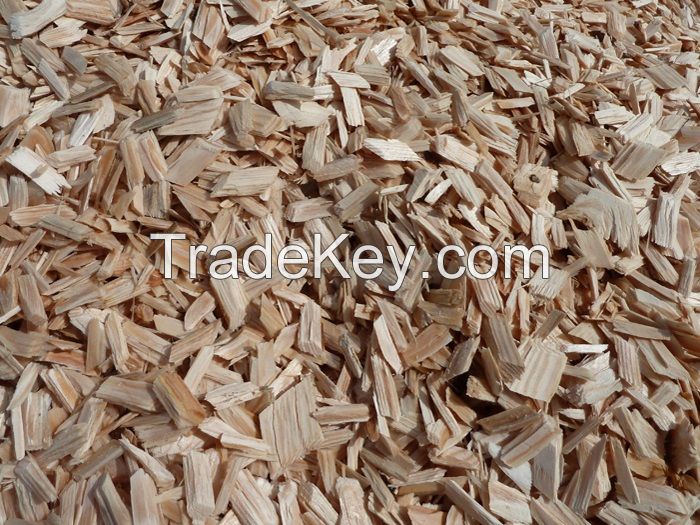 Reguest to buy Pine Wood Chip Suitable for MDF/Pulp/Paper use.