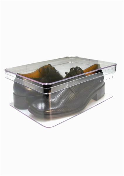 Glassy  Shoebox, The Transparent Plastic Shoe Box