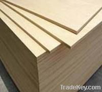 CE CARB certified commercial plywood okoume plywood birch plywood