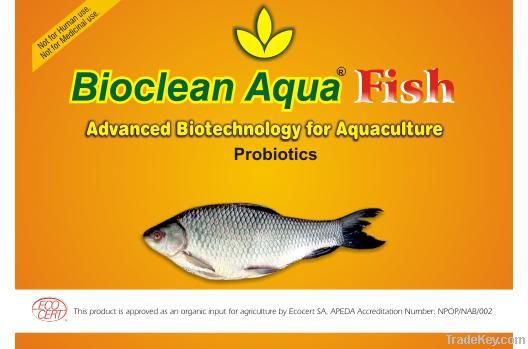 Fish probiotics