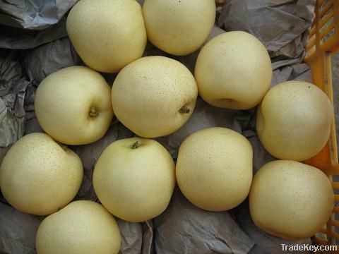 fresh golden pear