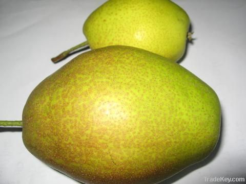 china fresh red fragrant su pear