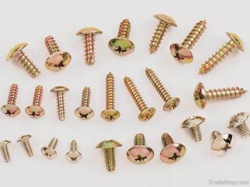 Self-Tapping Screw