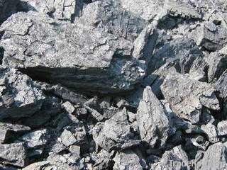 Gas coal