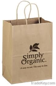 Paper shopping/Promotional Bag