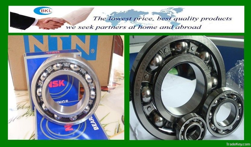 Deep Groove Ball Bearing NSK 