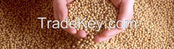 Soybean Meal Alfafa Hay Corn Gluten Meal Wheat Bran Rice Bran Fish Mea