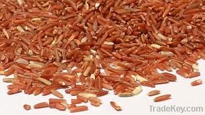 Vietnamese Long Grain Red Rice, 5% brk