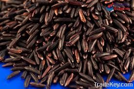 Vietnamese Long Grain Black Rice, 5% Broken