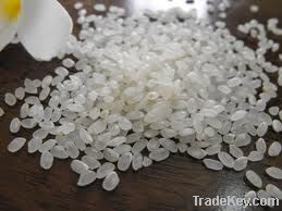 Rice | Rice Exporter | Rice Distributor | Rice Wholesaler | Rice Supplier | Rice Importer | Basmati Rice | Rice For Sale | Long Grain Rice Exporter | Buy Rice Online | Rice For Sale | Basmati Rice Exporter | Basmati Rice Wholesaler | Long Grain Rice buyer