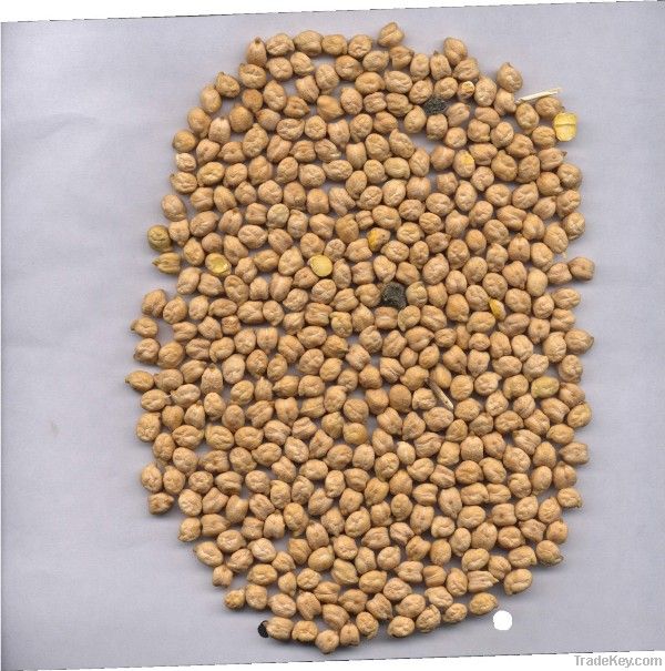 chick peas