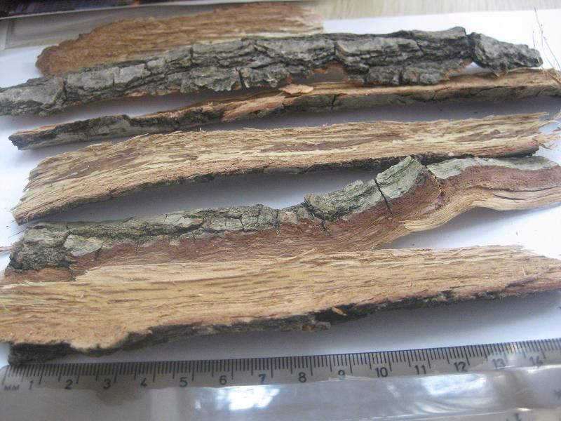 Oak bark, Quercus cortex