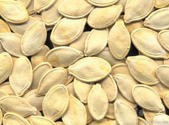 pumpkin seed