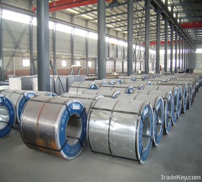 prepainted steel coils