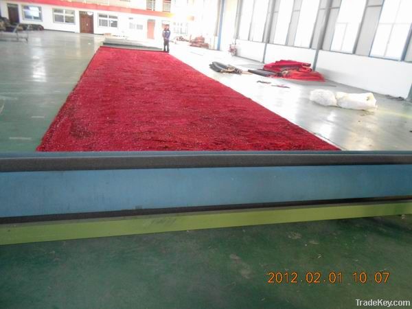 shaggy carpet