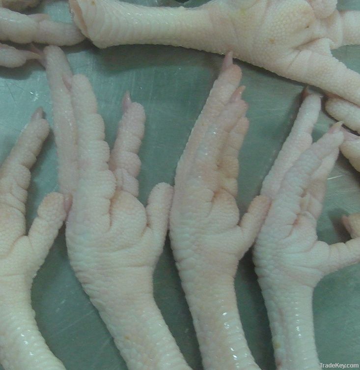  Export Chicken Paw | Chicken Feet Suppliers | Poultry Feet Exporters | Chicken Feets Traders | Processed Chicken Paw Buyers | Frozen Poultry Paw Wholesalers | Low Price Freeze Chicken Paw | Best Buy Chicken Paw | Buy Chicken Paw | Import Chicken Paw | Ch