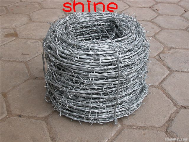 Galvanized Barbed Wire