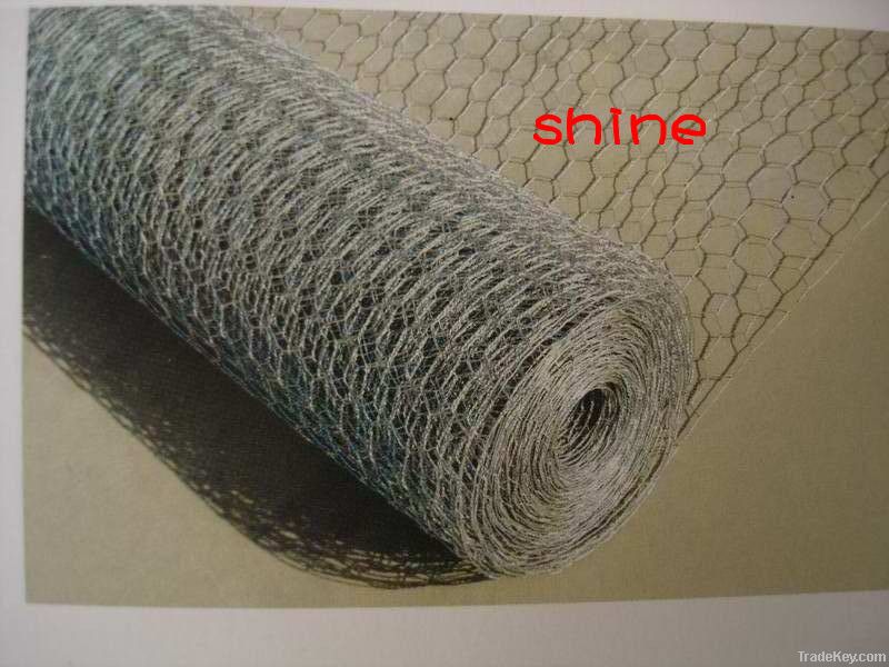 Hexagoanl wire netting