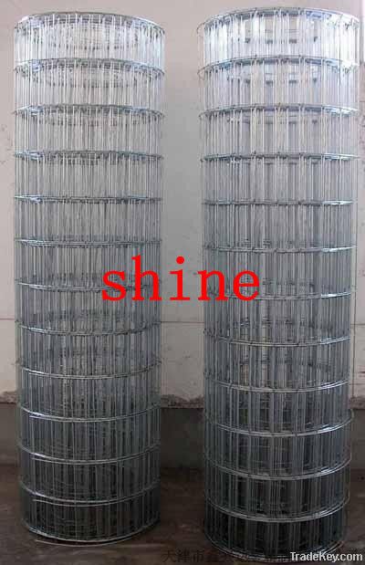 Hot-dipped Galvanized Welded Wire Mesh