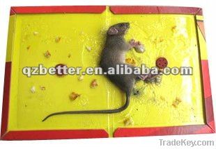 Rats Glue Trap Machine