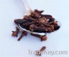 Clove Rectified Oil