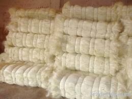 Sisal Fiber