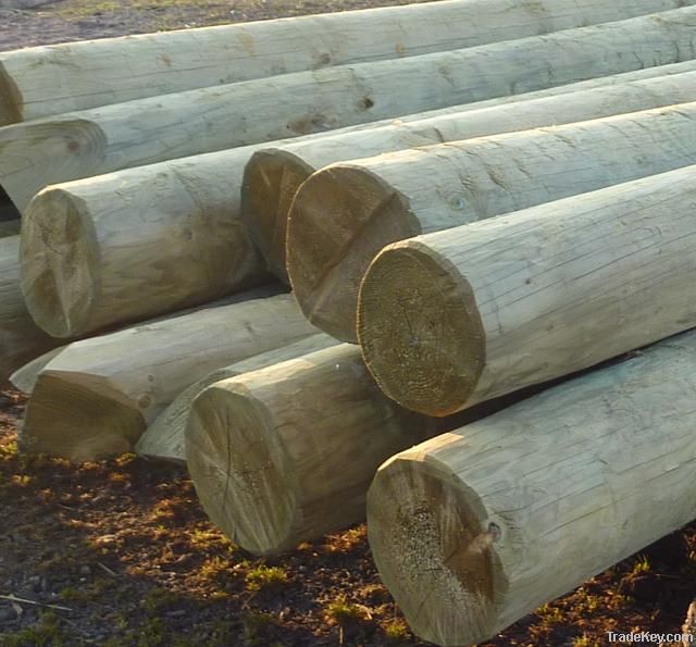 Wooden treated poles for power and telecommunication overhead lines