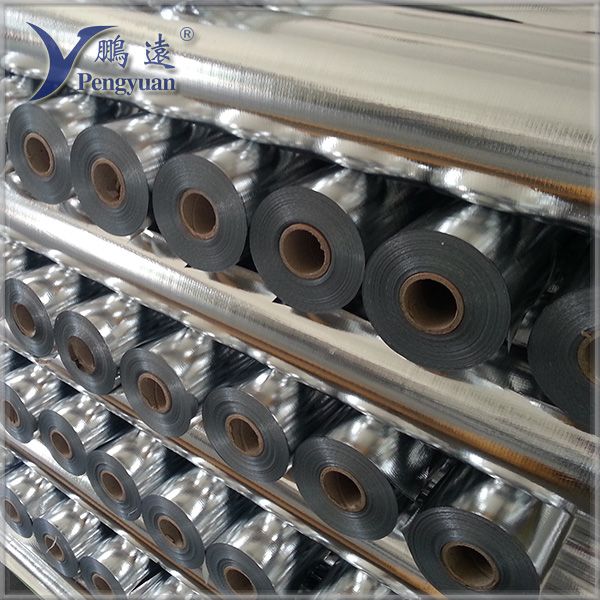 Double Sided Metallized Film  Woven