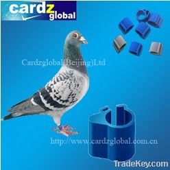 RFID ANIMAL TAG FOR PIGEON AND CHICKEN/DUCK