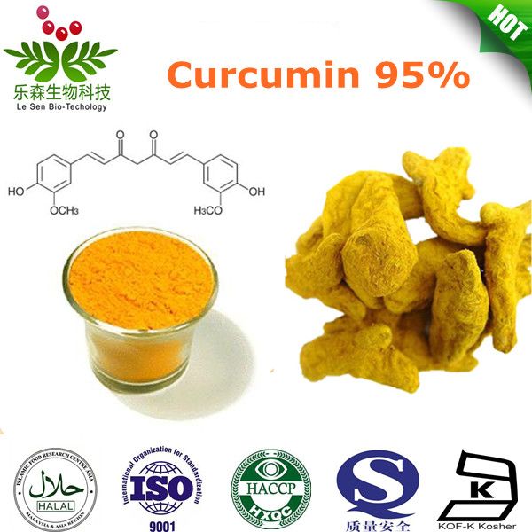 Curcumin 95%  458-37-7