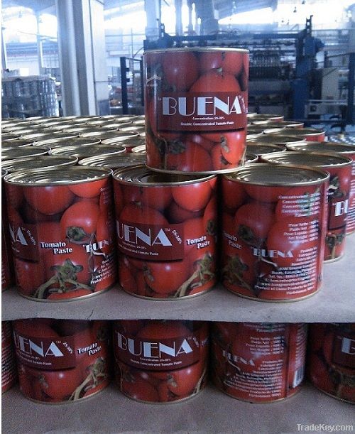 800g Tomato Paste