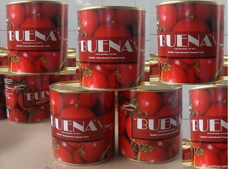 800g Tomato Paste